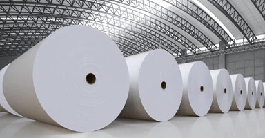 paper-making-industry paper-making-industry